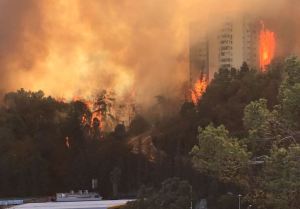 Feuer in einem Wohngebiet in Haifa. Quelle: Ma'ariv